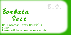borbala veit business card